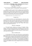 this PDF file - Publicatii USAMV Cluj