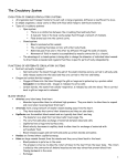 Circulatory_System_Notes