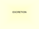 EXCRETION