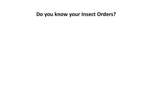 Do you know your Insect Orders? Order Mnemonic Common Name