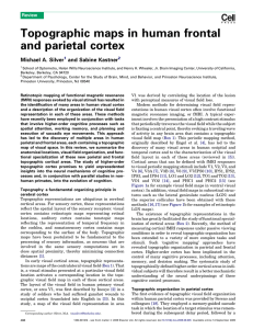 Topographic maps in human frontal and parietal cortex