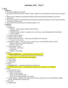 Anatomy - Exam 1 Lab