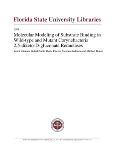 PDF - DigiNole! - Florida State University