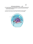Cell Structure Worksheet /25