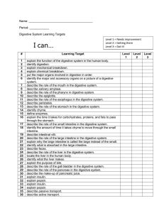 Digestive System Learning Targets