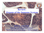 Review: Organs of the Immune System