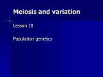meiosis_10