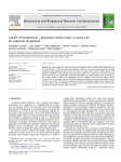 Arg305 of Streptomyces l-glutamate oxidase plays a crucial role for