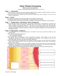 Early Filtrate Processing