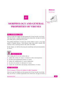 53 morphology and general properties of viruses