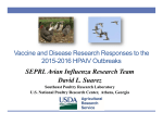 SEPRL Avian Influenza Research Team David L. Suarez Vaccine