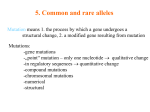 5. Common and rare alleles