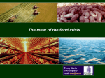 The Meat of the Global Food Crisis