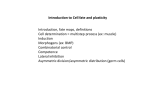 Introduction to Cell fate and plasticity Introduction, fate maps