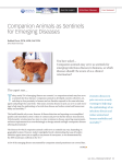 Companion Animals as Sentinels for Emerging Diseases