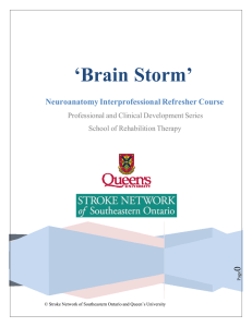 Brain Storm - School of Rehabilitation Therapy