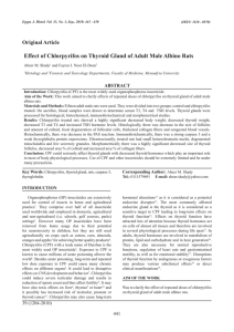 Effect of Chlorpyrifos on Thyroid Gland of Adult Male