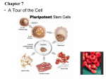 Ch 7_cells - Manasquan Public Schools