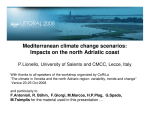 Mediterranean climate change scenarios: Impacts on the north