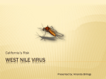 West Nile Virus - Environmental Public Health Today