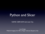 Python and Slicer