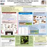 Conclusion - National University of Singapore