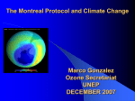 Vienna Convention / Montreal Protocol