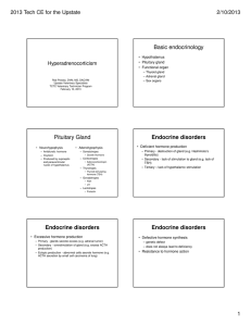 Basic endocrinology Pituitary Gland Endocrine disorders Endocrine