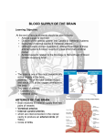 BLOOD SUPPLY OF THE BRAIN