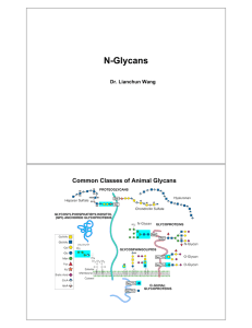 N-Glycans