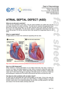 atrial septal defect (asd)