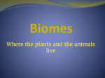 Biomes PPT - Idaho Adventure Learning