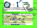 B3Revision LVW