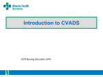 Introduction to CVADs File