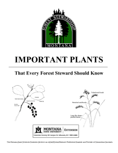 important plants - Montana State University Extension