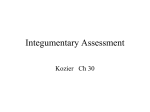 Integumentary Assessment unit 8
