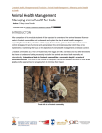 Animal Health Management Managing animal health for trade