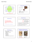 Jaap Heringa Bioinformatica 1 Bioinformatics Gathering knowledge