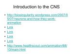 CNS_Part2