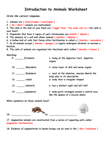 Introduction to Animals Worksheet
