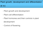 Growth Handout 2