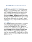 Chloroplasts and mitochondria worksheet answers