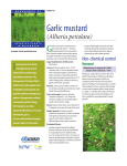 Garlic mustard - UW Learning Store