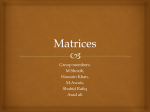Matrices - bscsf13