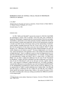 REPRESENTATION OF CENTRAL VISUAL FIELDS IN