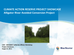 Blue Source Forestry Project Case Study