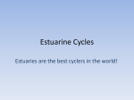 Estuarine Cycles (PPT)