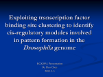 Cis-regulatory modules in Drosophila
