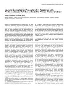 Neuronal Correlates for Preparatory Set Associated with Pro