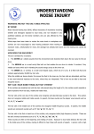 understanding noise injuryes - Audiometry Nurses Association of